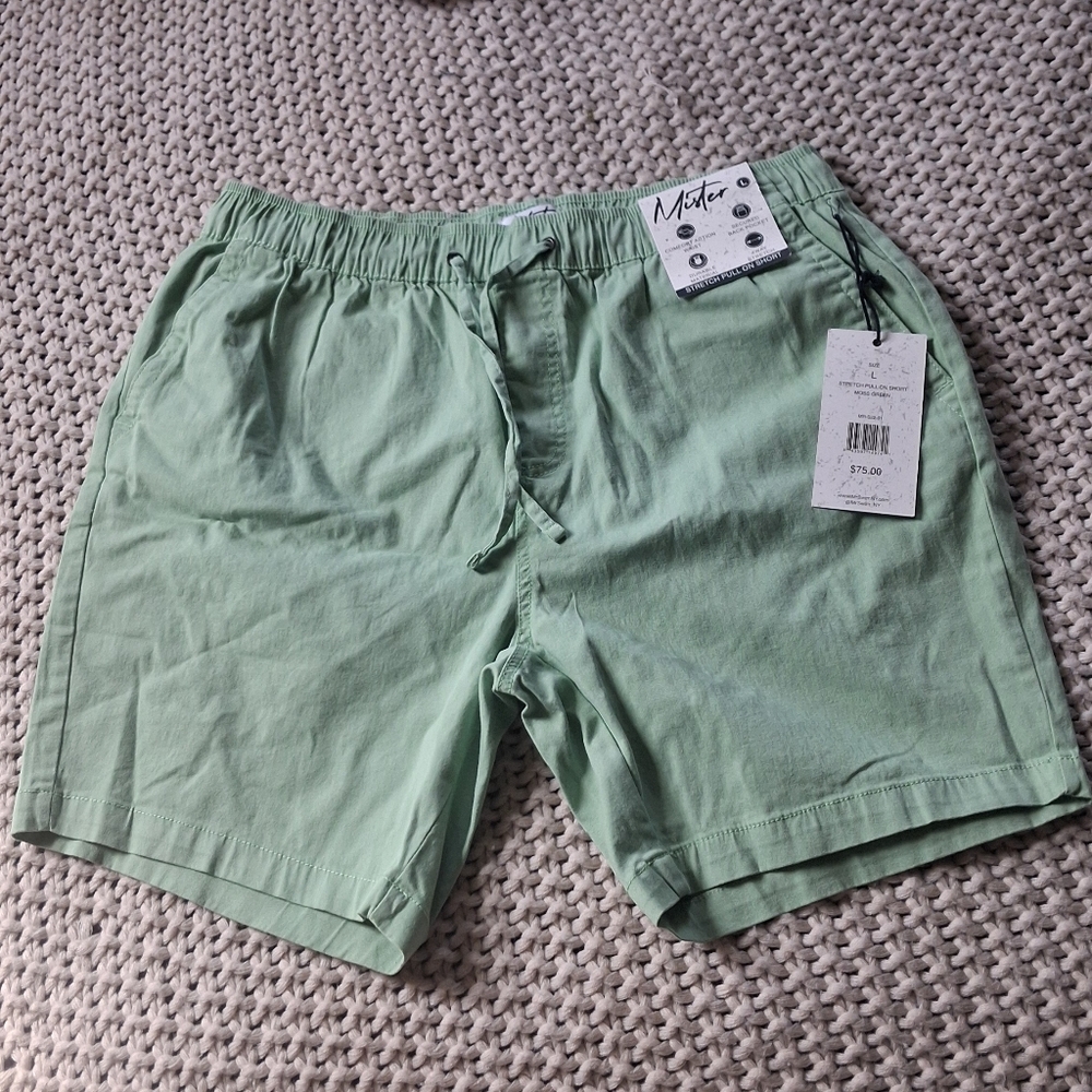 MISTER New York Relaxed Drawstring Shorts in Sage Green Sz Large